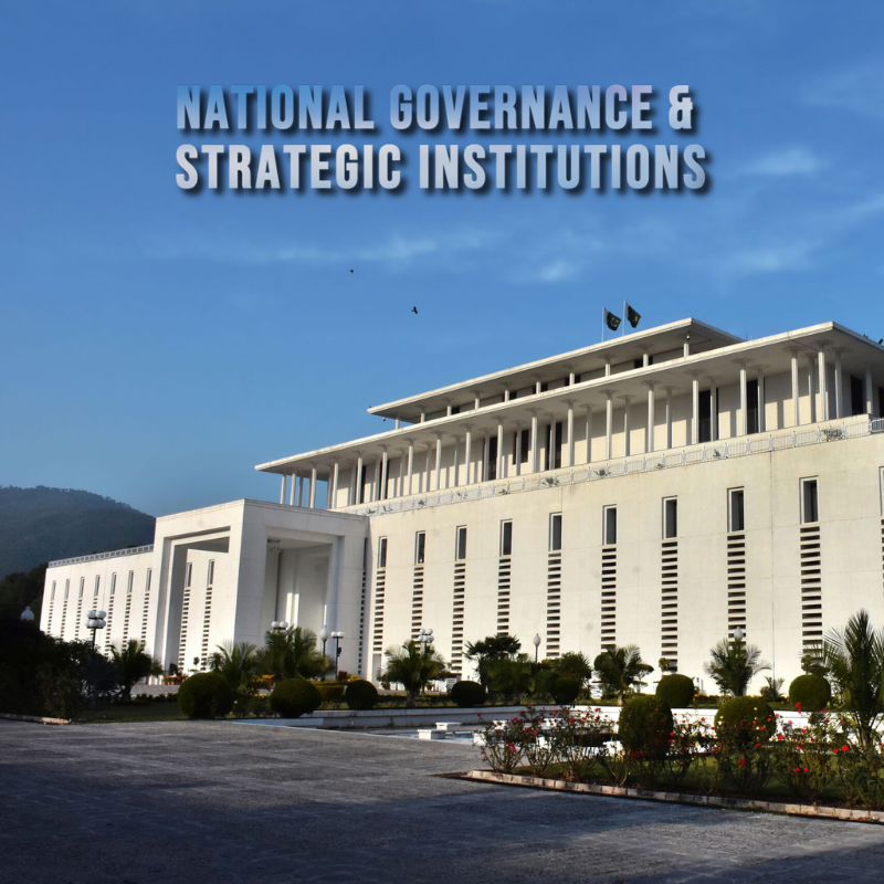 National Governance & Strategic Institutions bg