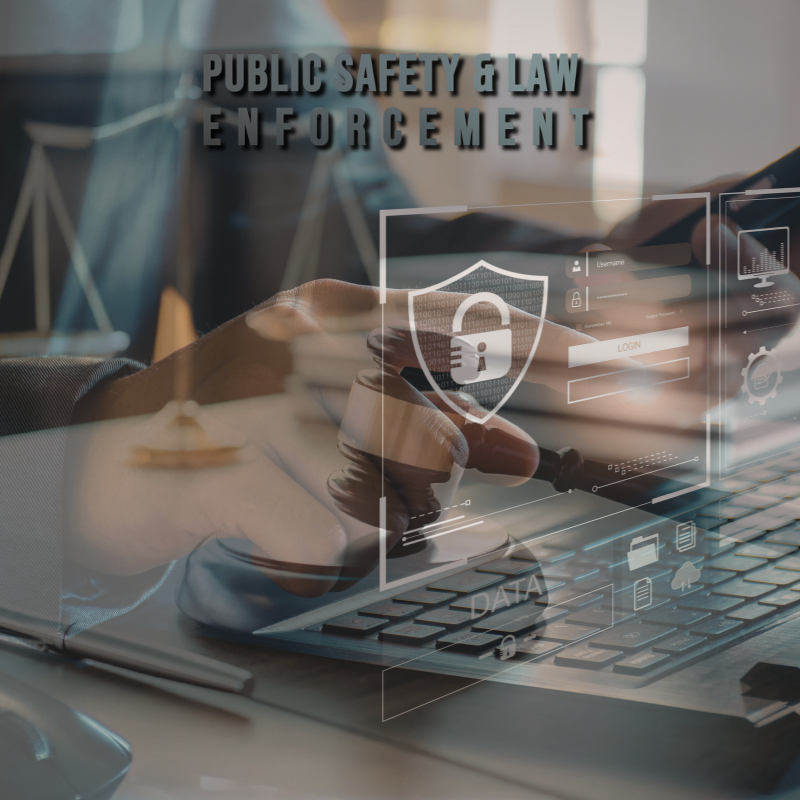 Public Security and Justice